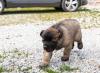 images/T-Wurf/T-Wurf Wo 9/3S8A2877-Bearbeite.jpg